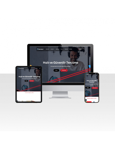 Vize ve Tercümanlık Şirketi Web Sitesi Paketi - World