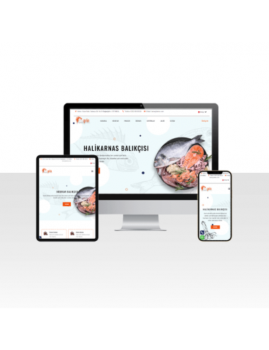 Izgara ve Balık Restoranı Web Sitesi Paketi - Somon
